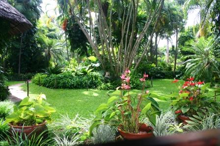 Malindi Tropical Plant Nurseries Kenya Tropical Plant Nursery Kenya Malindi